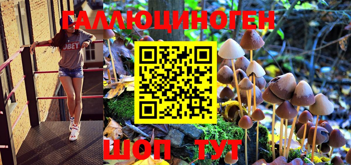 Подольск  магазин продажи   Вход с VPN  Галлюциногенные грибы Psilocybe 